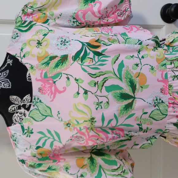 🆕️ 🦜HTF Lilly Pulitzer🦜 - Lyssa Short Sleeve Cotton Midi Dress - Picture 8 of 16